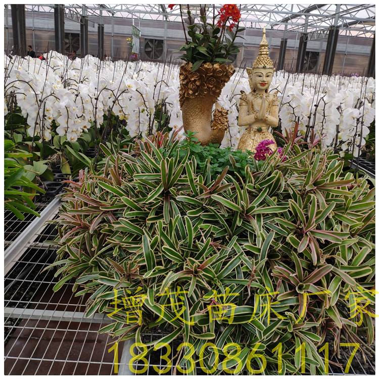 1559028801186010.jpg IMG_20190421_131755.jpg