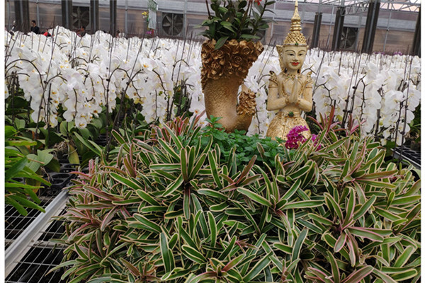 1559090281842295.jpg IMG_20190421_131755_副本.jpg