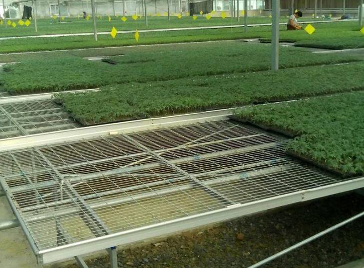 1564975161522814.jpg <a href='http://www.nuch.cn/miaochuangsheshi/199.html'target='_blank'><a href='http://www.nuch.cn/miaochuangsheshi/199.html'target='_blank'><a href='http://www.nuch.cn/miaochuangsheshi/199.html'target='_blank'>育苗床</a></a></a>.jpg